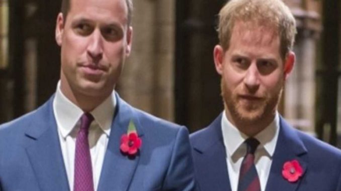 Príncipe William y Principe Harry